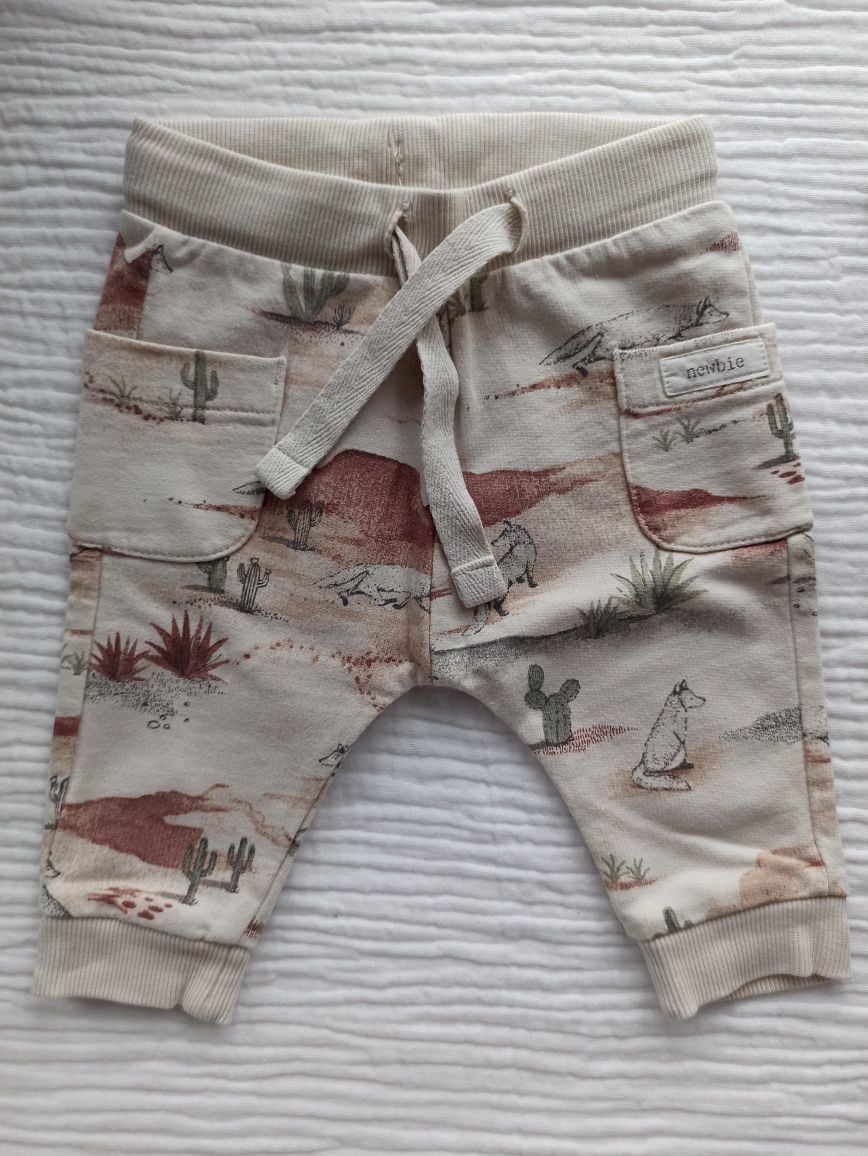 Zestaw ubranek Newbie 56 body spodnie sowy miś