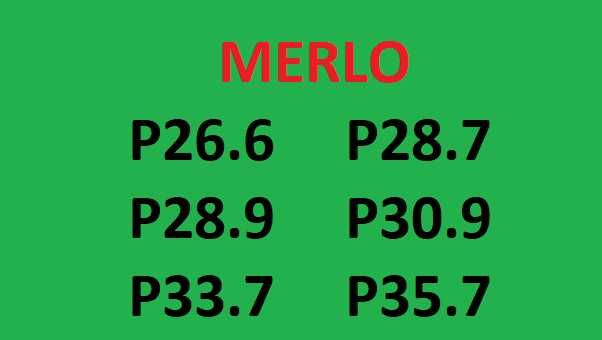 Instrukcja napraw MERLO P26.6_P28.7_P28.9_P30.9_P33.7_P35.7