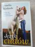Język cudów Amelia Kinkade