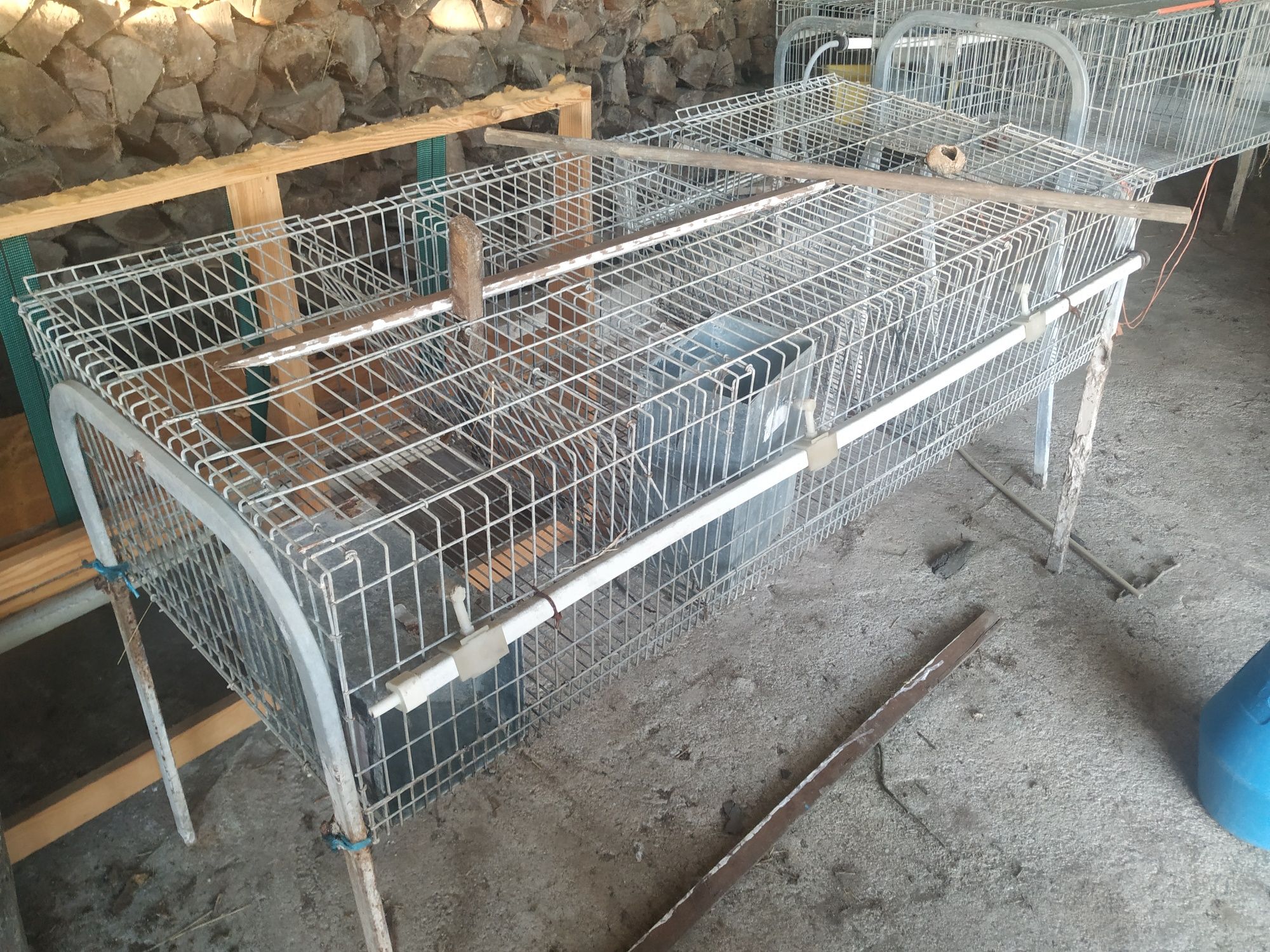 Coelheira/Gaiola para coelhos