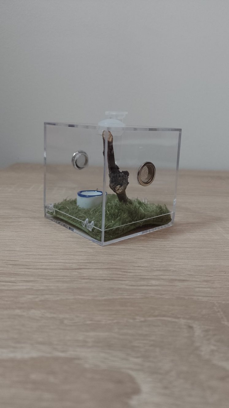 Mini terrarium akrylowe z wystrojem i akcesoriami - mega ładne