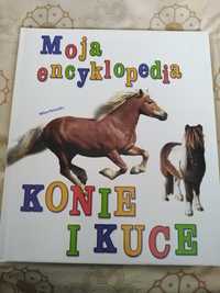 Encyklopedia Konie i kucyki