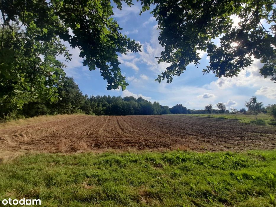 Działka 41Ar w Brzezinkach pod Kielcami.