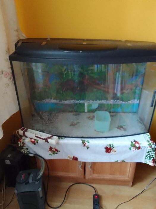 Akwarium półokrągle