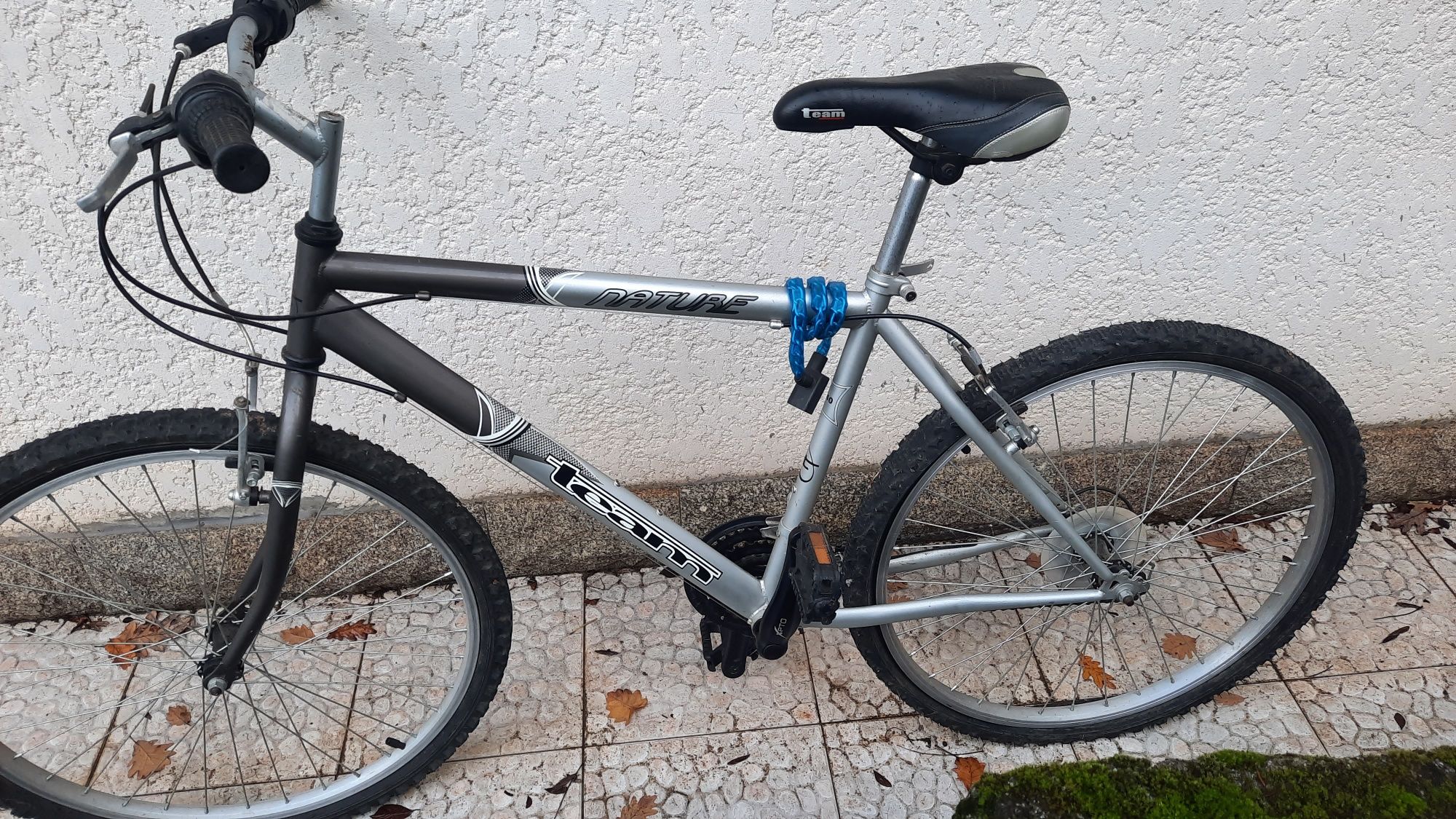 Bicicleta Team R40