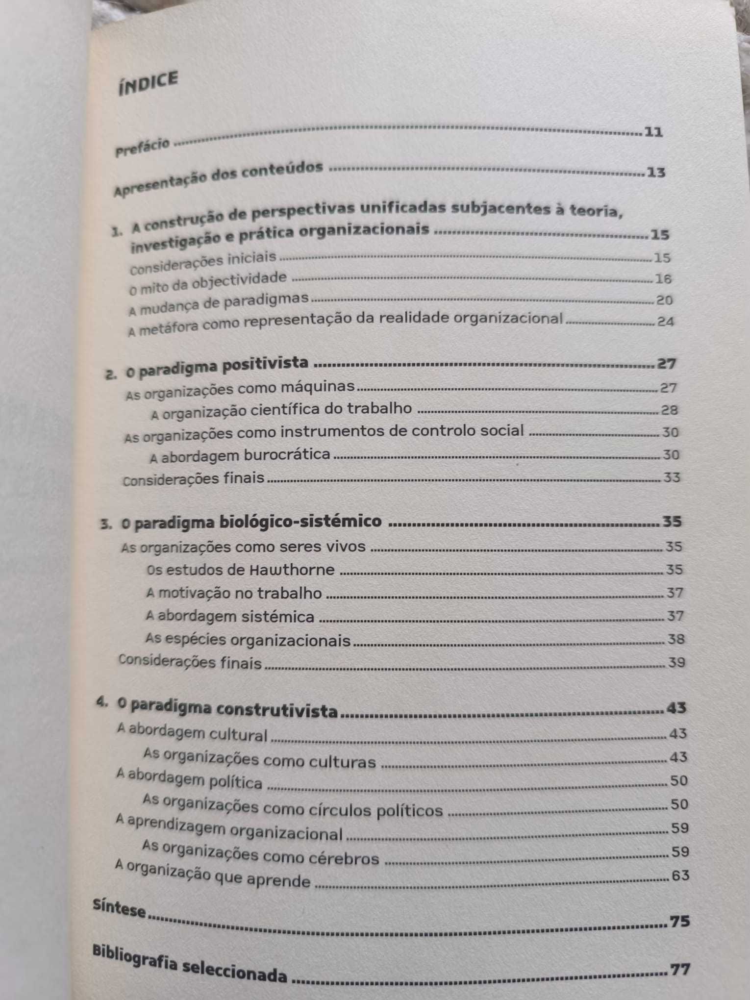 Livro "A Organização,Teorias e Paradigmas" de José Manuel Canavarro