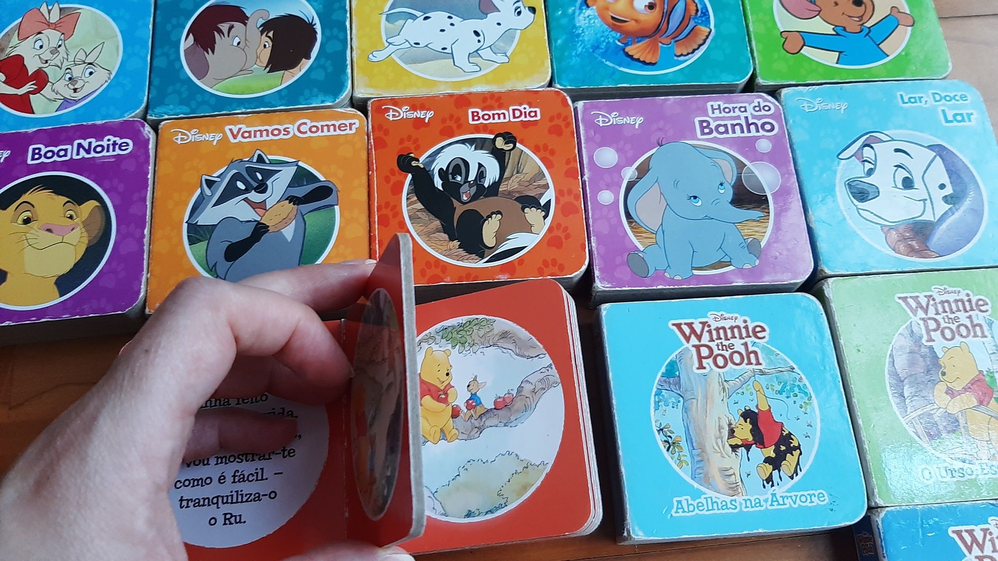 Livros folhas grossas Disney