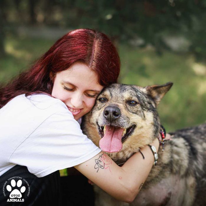 Dzielny Dżeki czeka na nowy dom!
