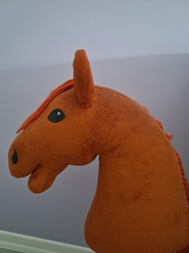 Hobby horse rudy