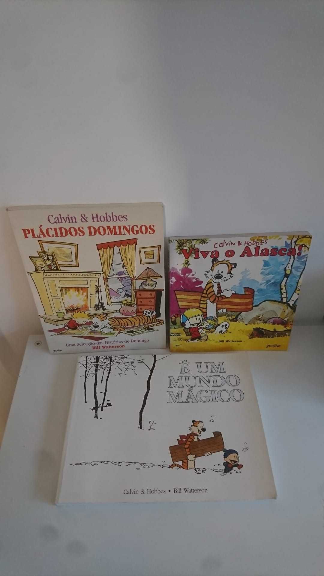 Pack de 3 livros Calvin & Hobbes dos anos 90