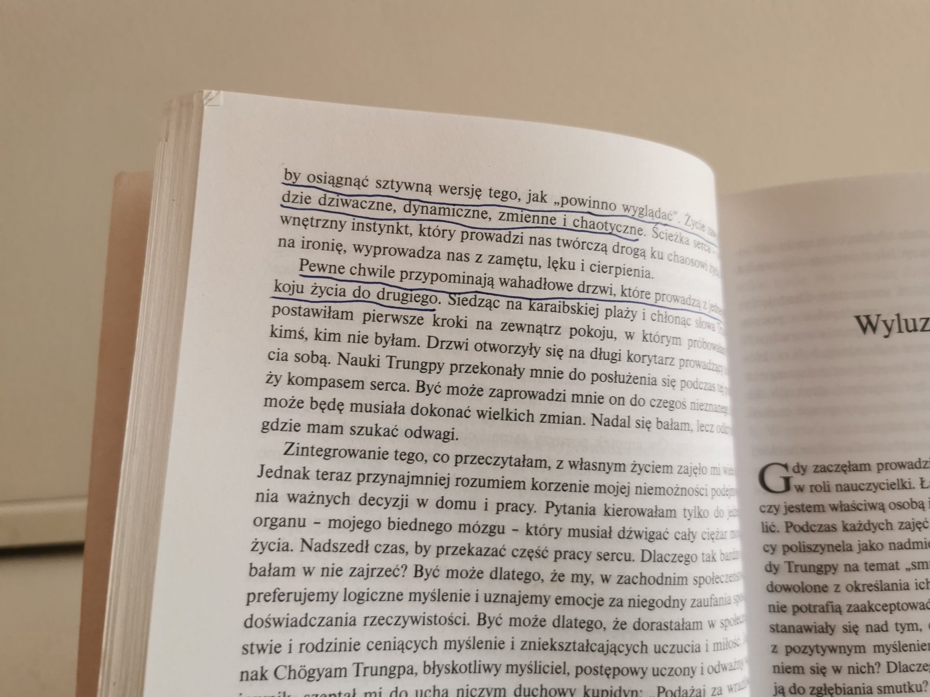 Masz w sobie siłę Elizabeth Lesser poradnik psychologia z humorem