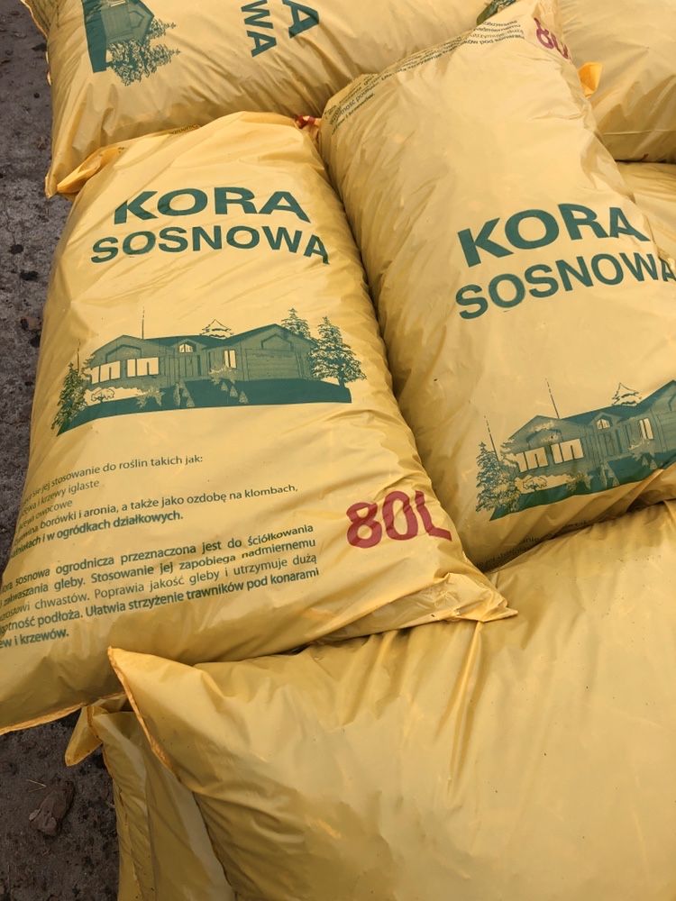 Kora sosnowa Płock