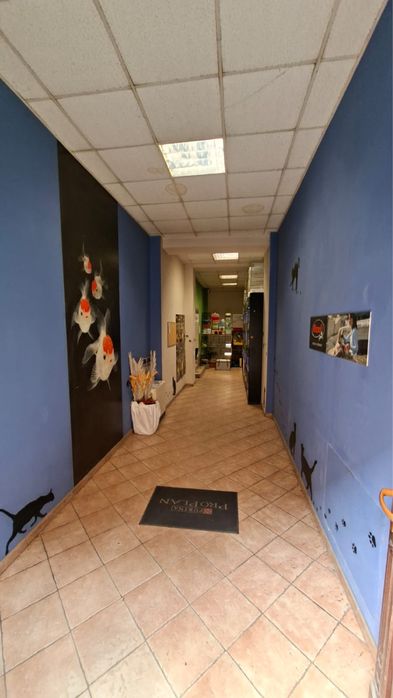 Lokal użytkowy na sprzedaż - możliwość przerobienia na mieszkanie!