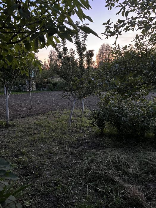 Продам дачну ділянку