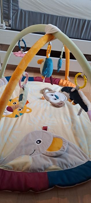 Mata edukacyjna Lupilu