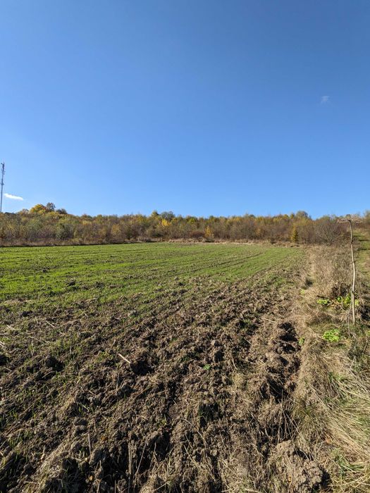 Земельна ділянка 15 сот Ст. Лисець, вул. Шевченка, під забудову (4)