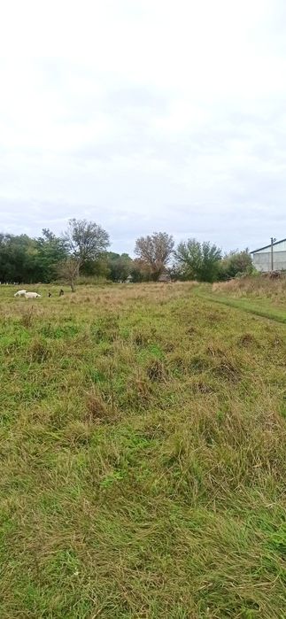 Продам землю промислового призначення