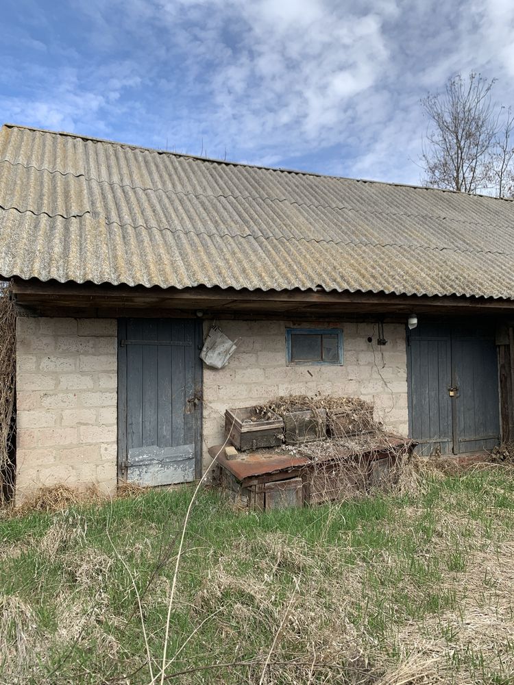 Будинок в селі Олишівка,недалеко від Чернігова.Власник.