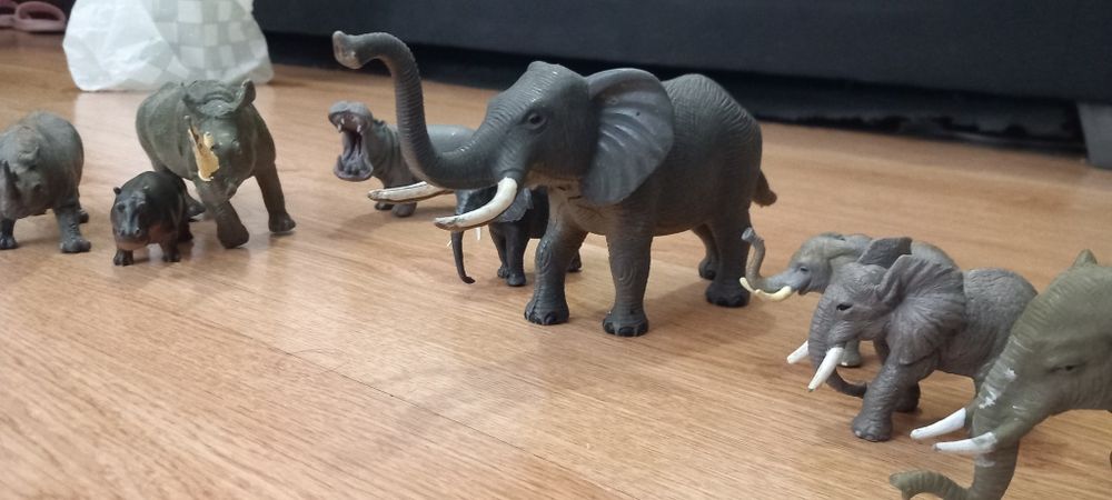 Conjunto de elefantes