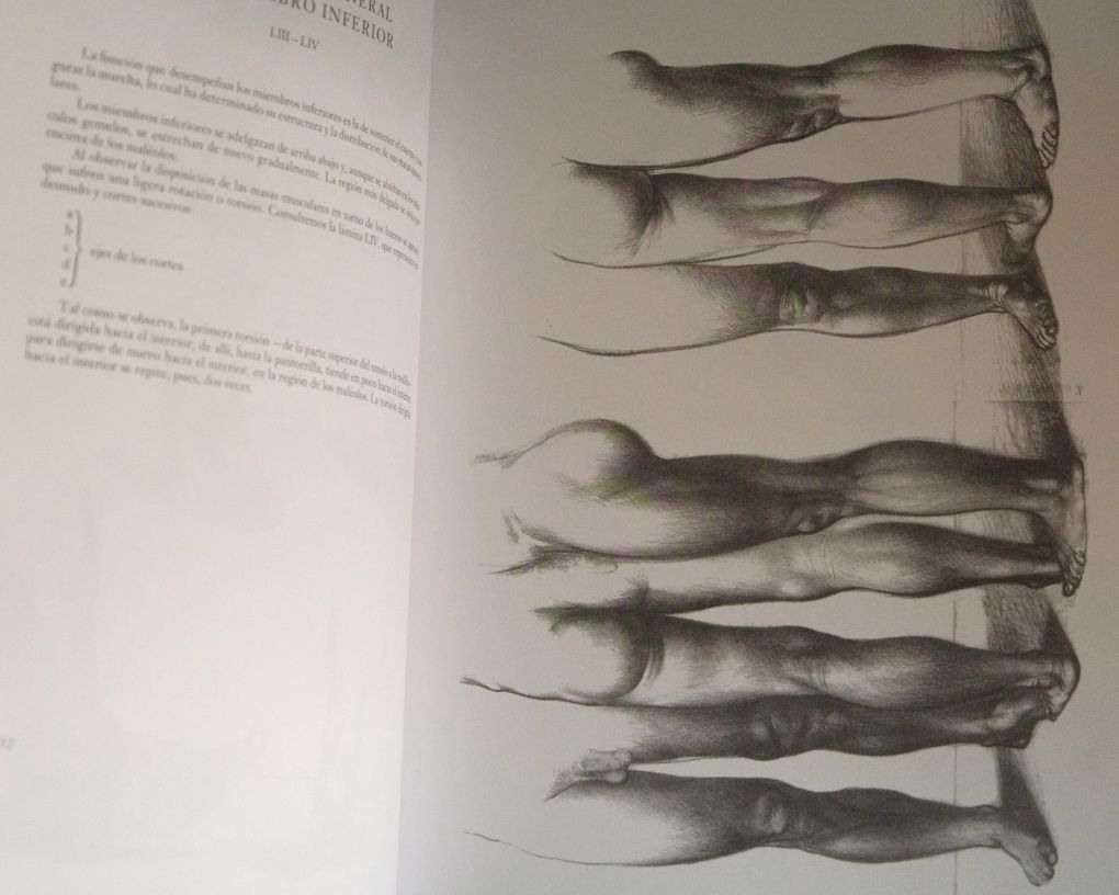 Anatomía artística del cuerpo humano, Jeno Barcsay