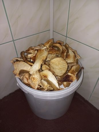 Продам сушені гриби білі на дровах