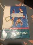Livro ingles skyline