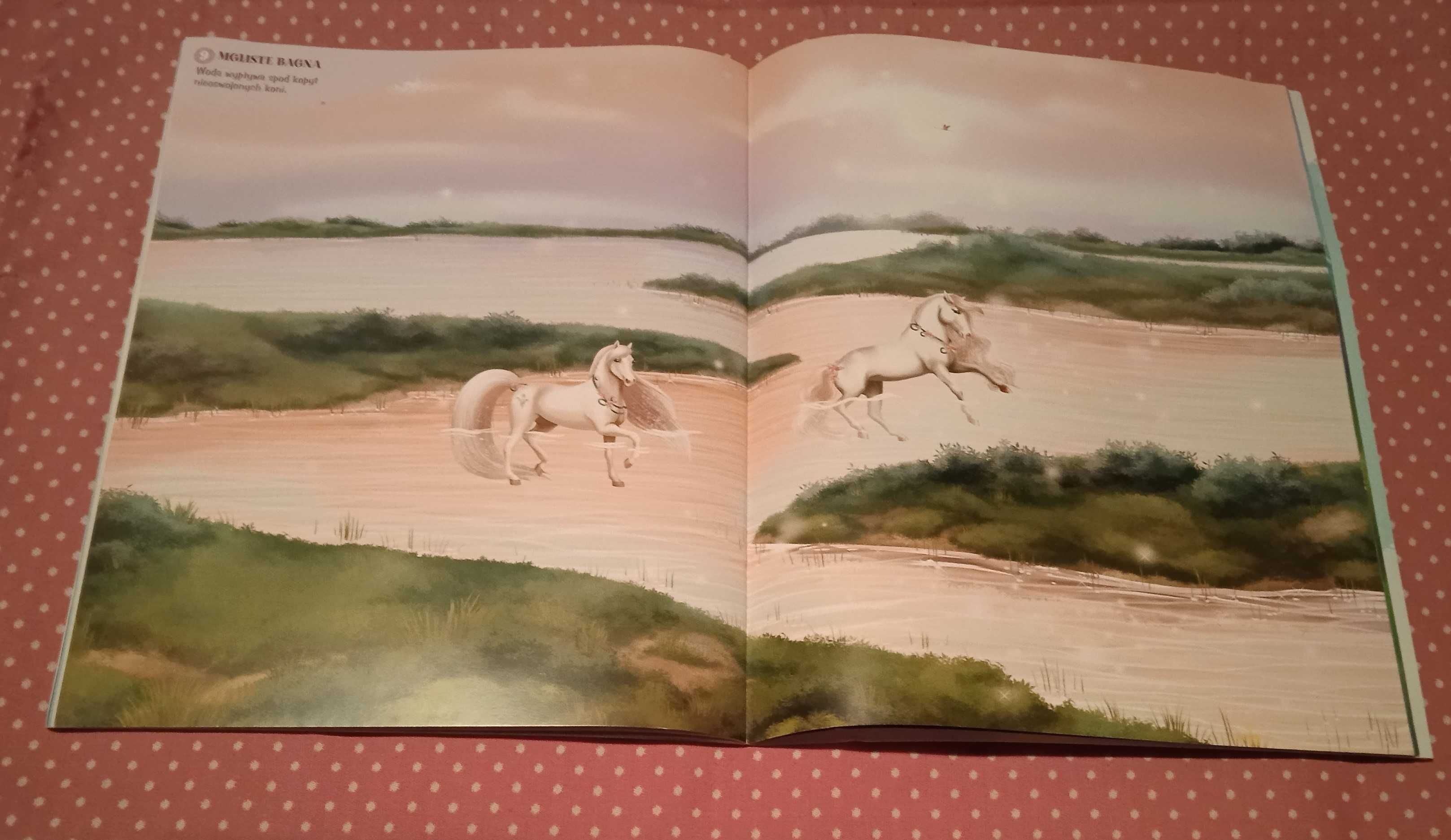 Koniki z Krainy Fantazji - książka i 300 kolorowe naklejki