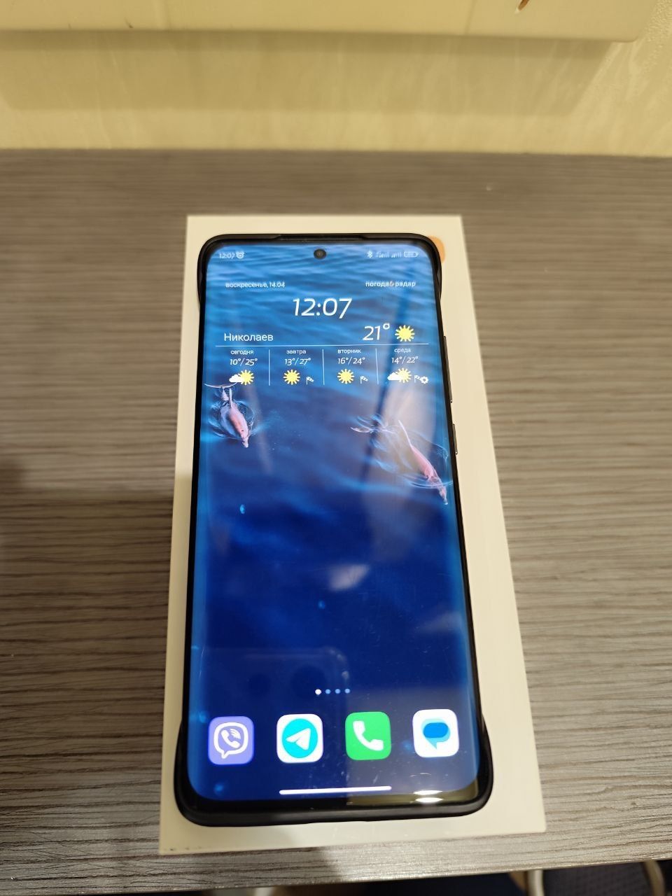 Xiaomi 12 x    .