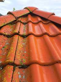 Czyszczenie Malowanie Dachów Mycie Elewacji Kostki Brukowej
