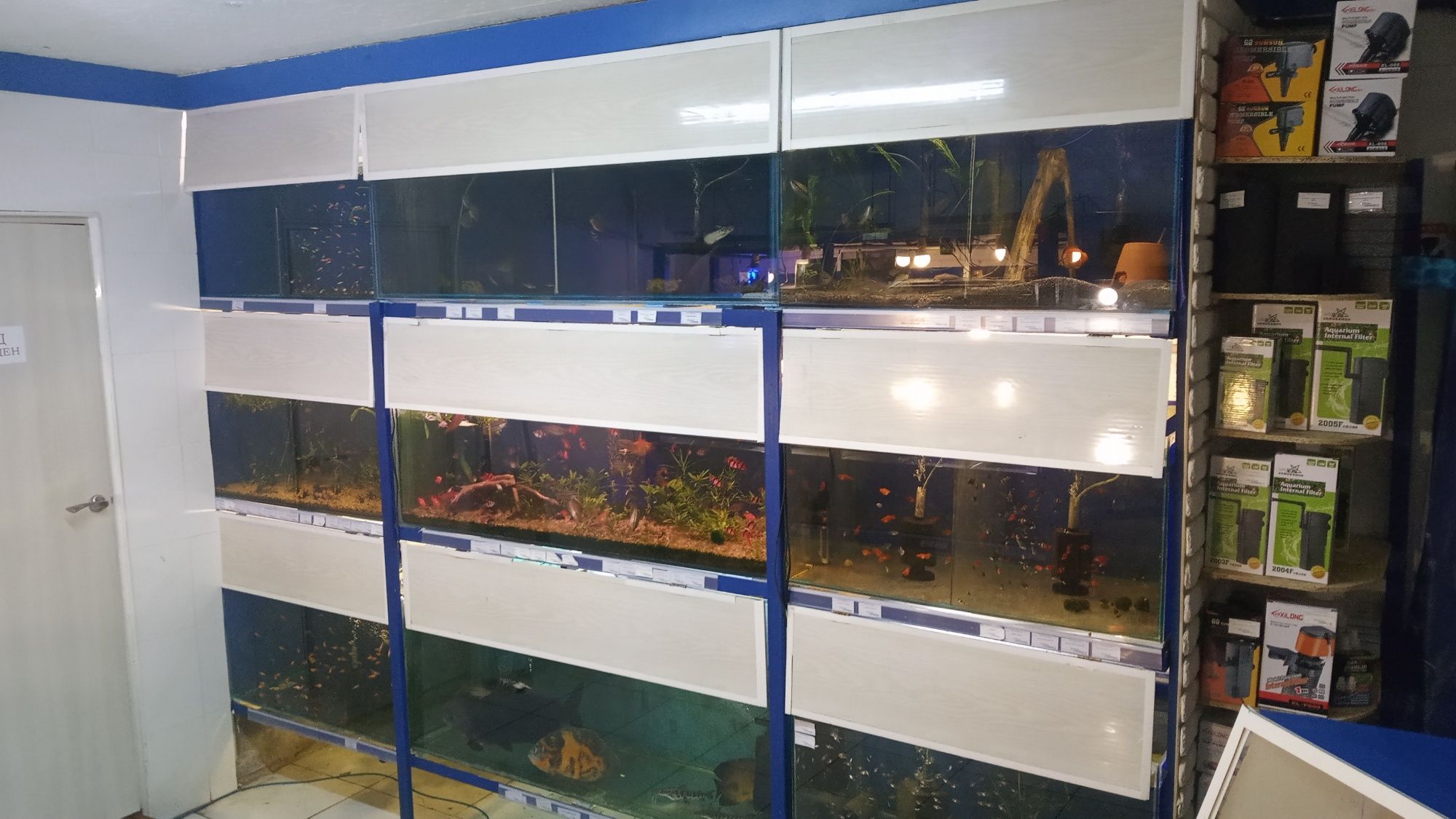 Аквариумные рыбки, Аквариумные растения, большой выбор в Харькове