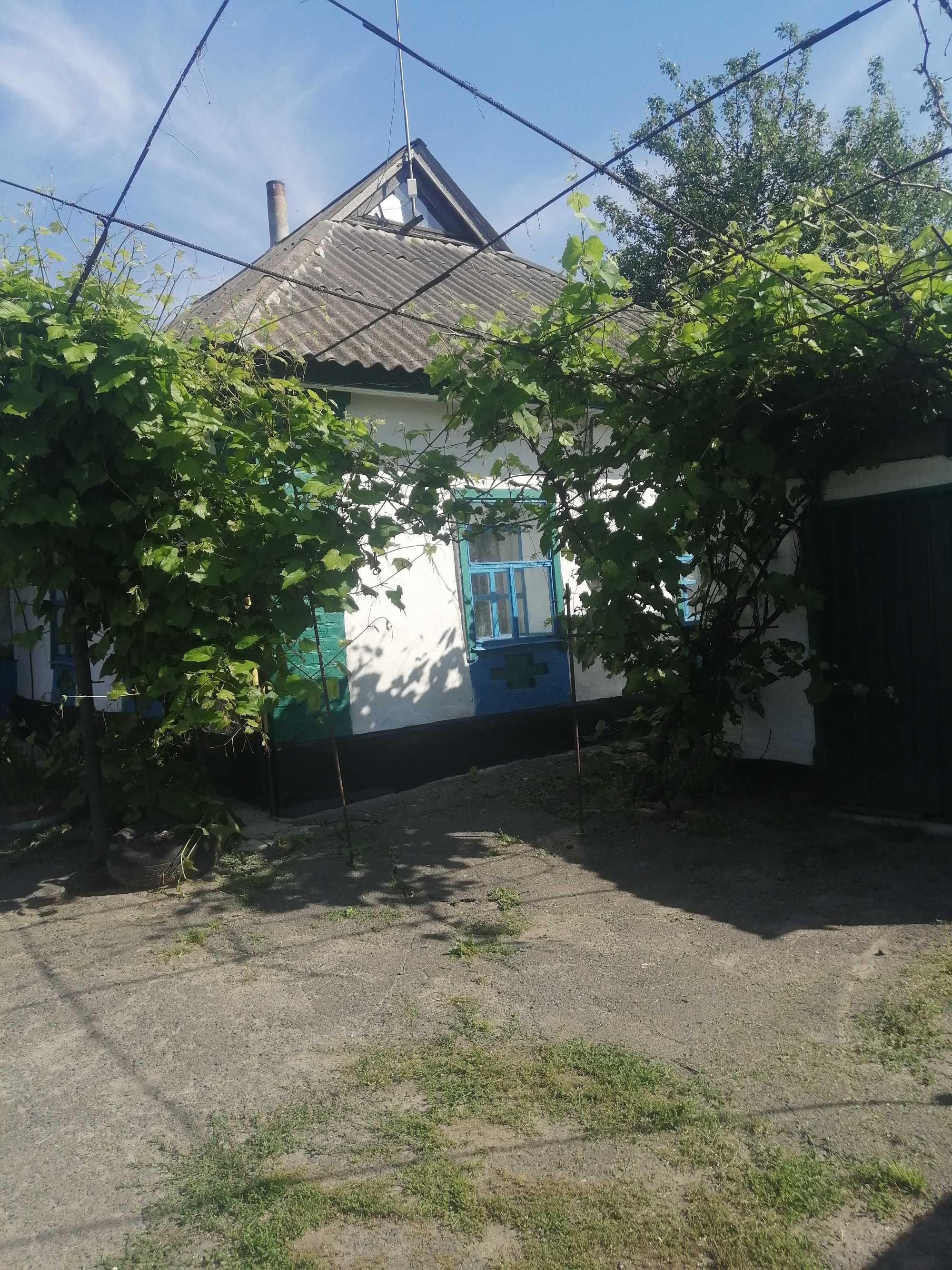 продается не дорого дом в селе