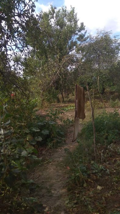 Продаж частини будинку