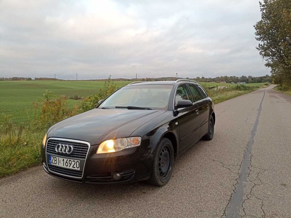 Audi a4 b7 2.0 TDI