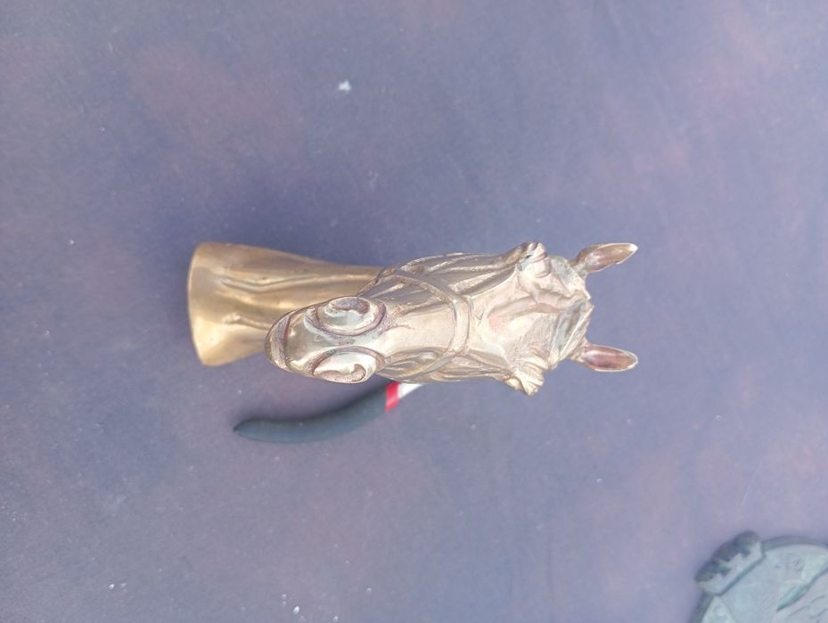 cabeça de cavalo