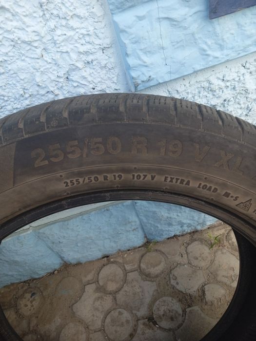 Покришки зимние 255*50 R19