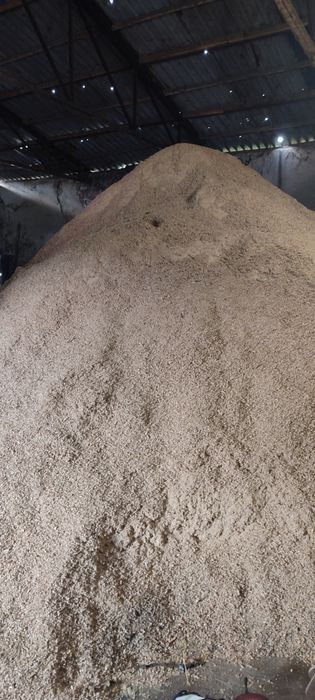 Продам тирсу , дуб, ясен, сосна