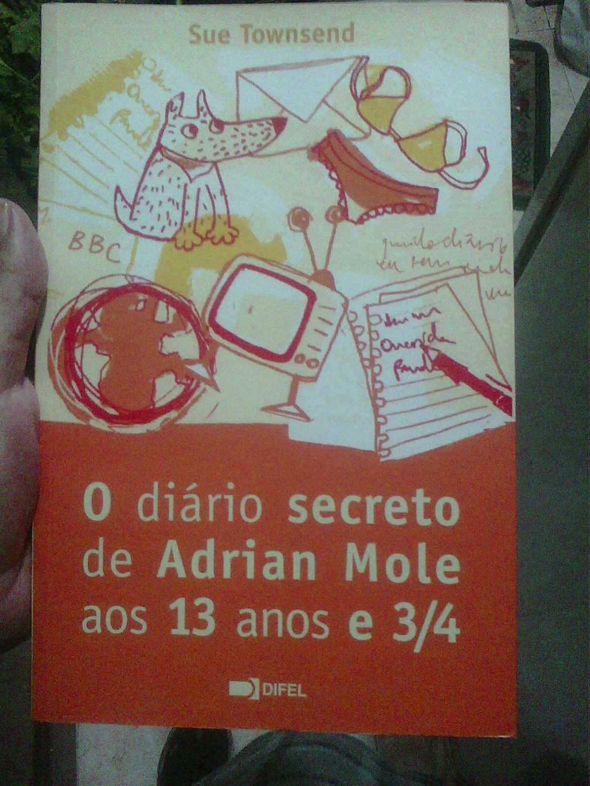 o diário secreto de adrian mole livro portes grátis