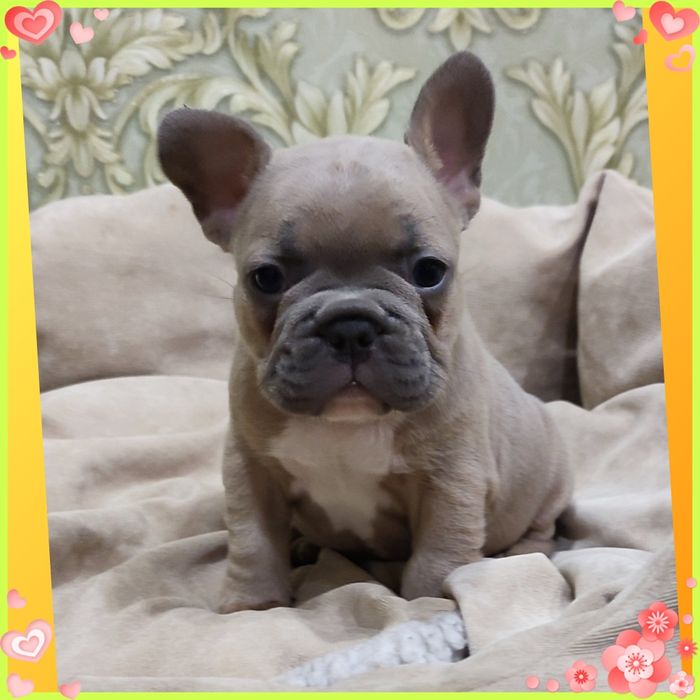 Мега-крутий хлопчик