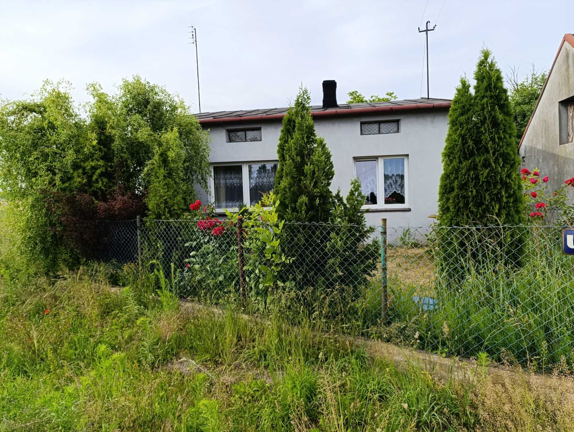 Dom, działka, Jeżów-sprzedaż