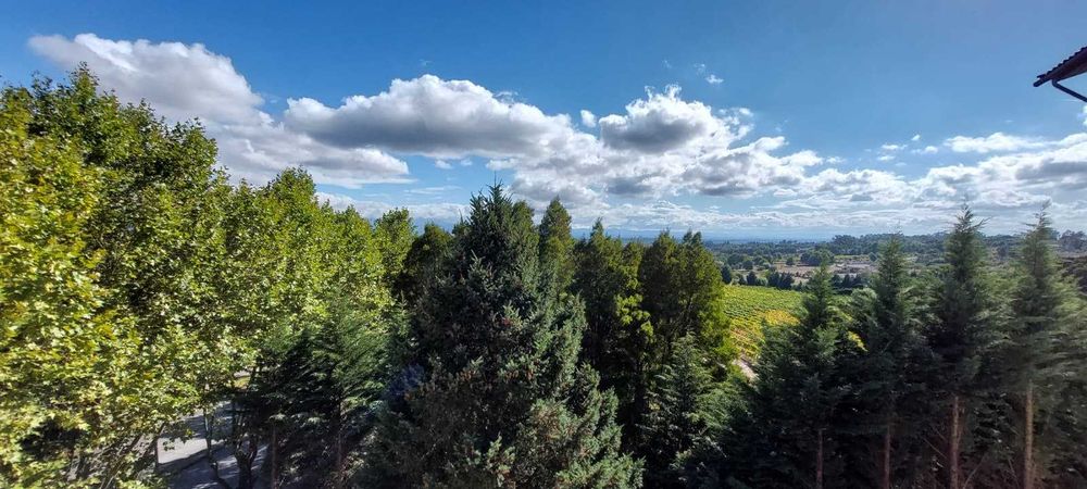 Arrendamento T3 em Mangualde – a 10 min de Viseu!