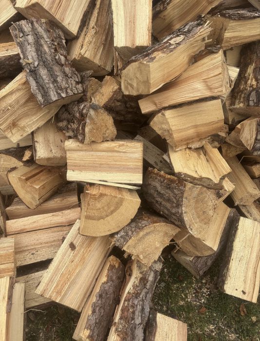 Drewno opałowe sosna