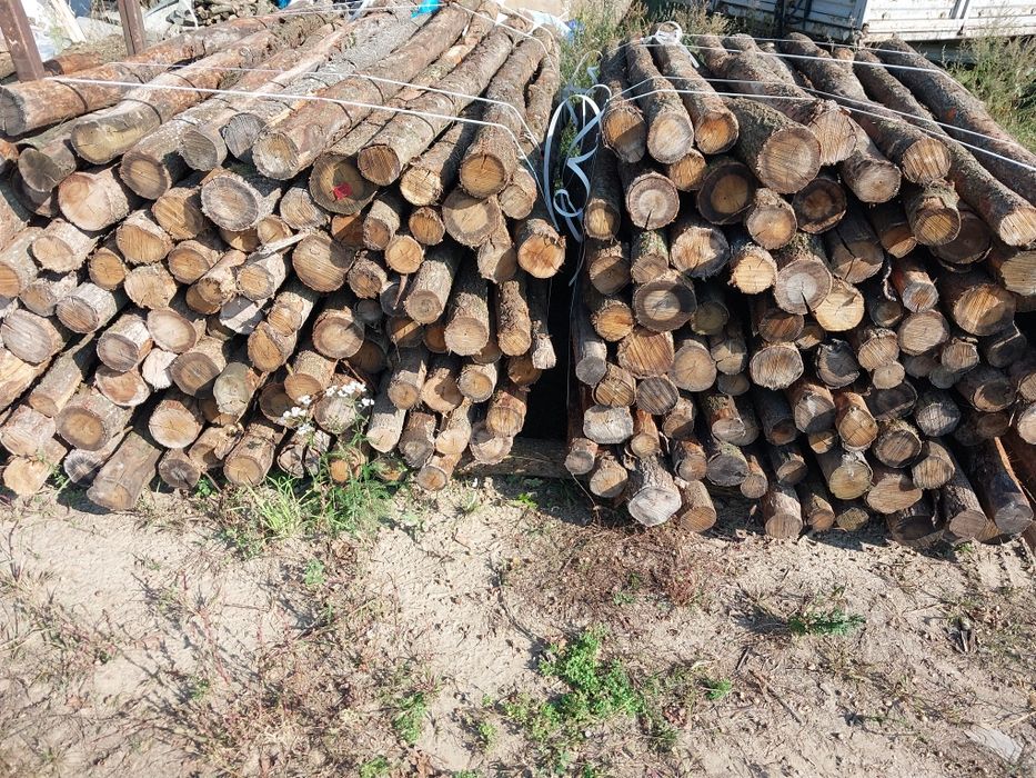 Słupki ogrodzeniowe dębowe