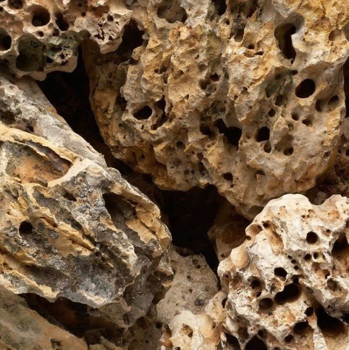 Kamień Księżycowy Moonstone Skała do Akwarium Malawi Tanganika Dragon