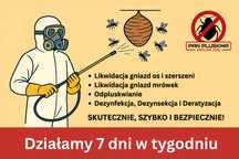 Usuwanie Gniazd Os, Szerszeni i Mrówek. Odpluskwianie, DDD Kołobrzeg