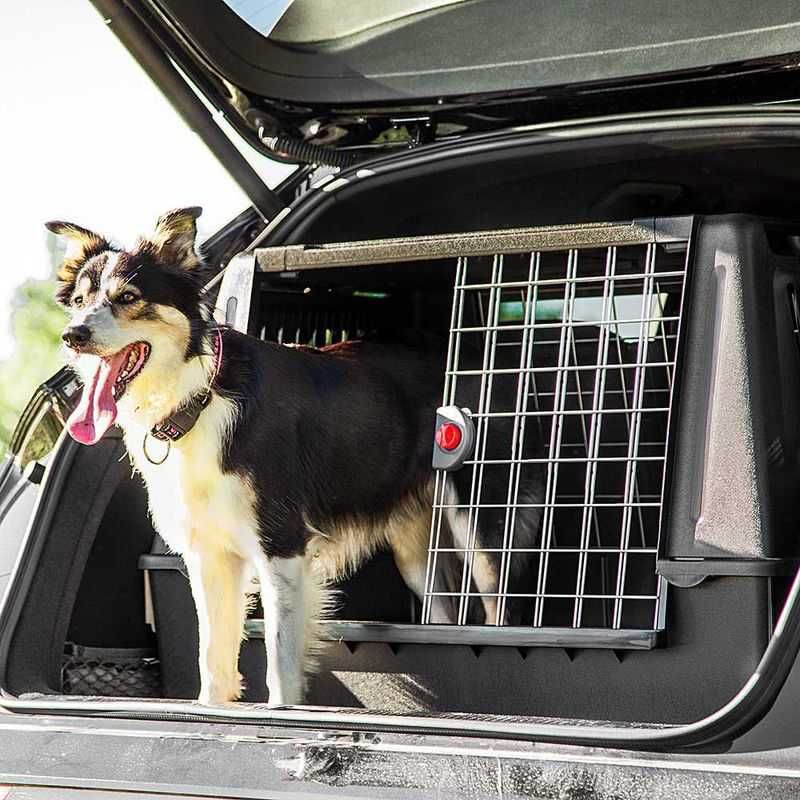 Caixa média de transporte de animais USADA