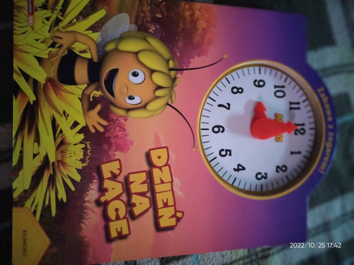 Książka zabawa z zegarem, pszczółka Maja