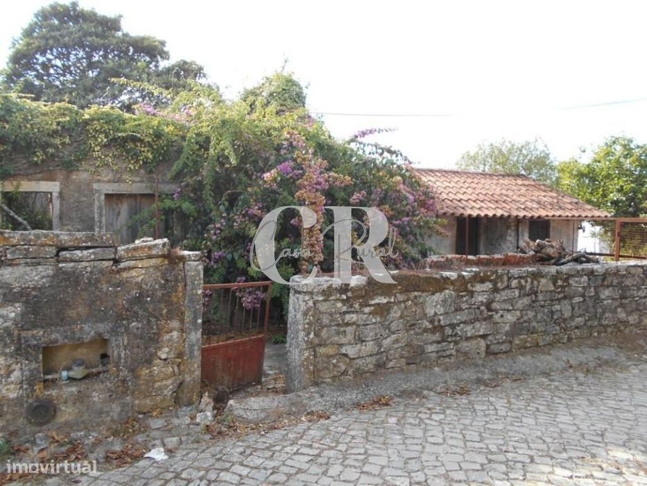 Ruina para recuperar com magnifico terreno a cerca de 2km de Ansião.