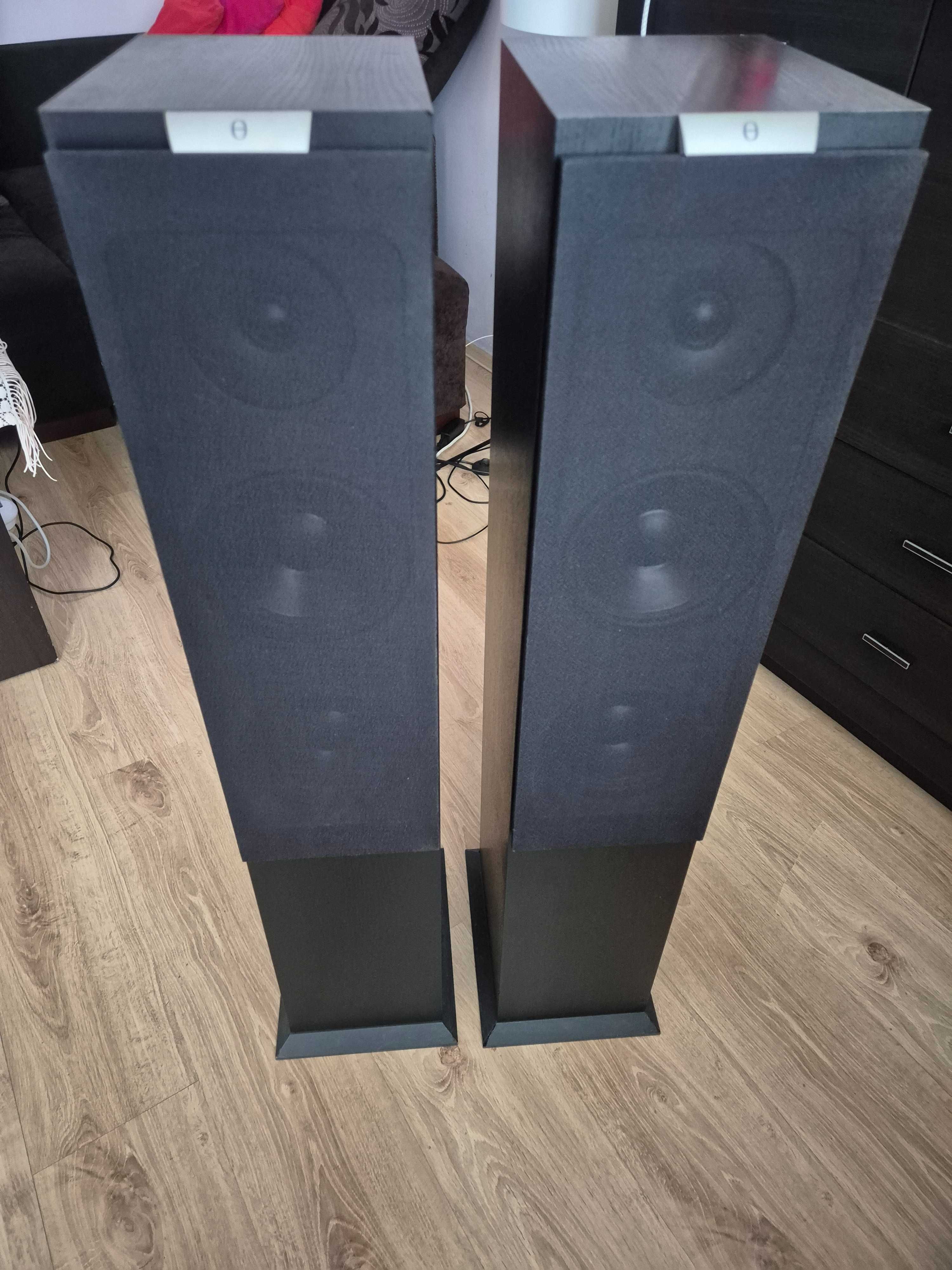 Audiovector C-3 kolumny podłogowe.Cena za komplet.