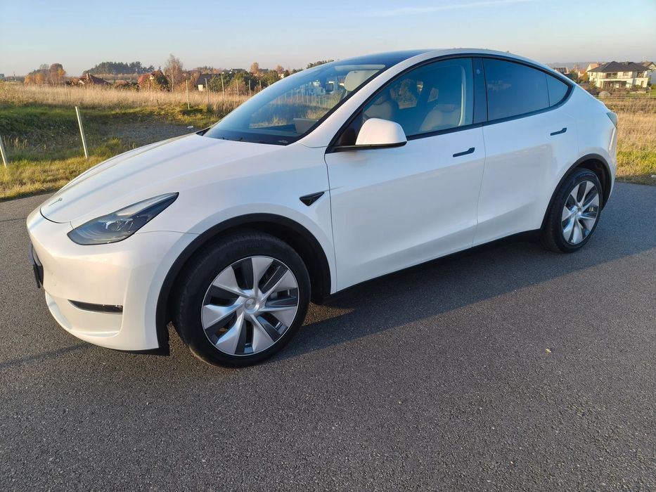 Tesla Y Tesla Y Long Range AWD, 1 Właściciel, Salon PL
