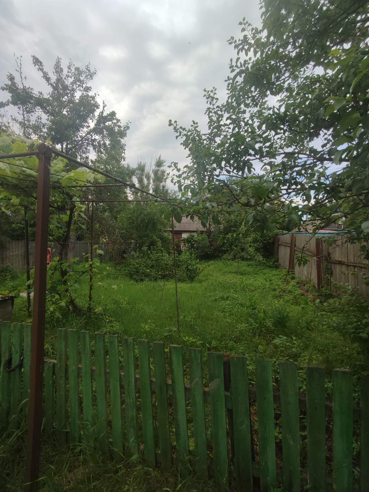 Доглянута садиба в селі Мрин. 100 км від  м Київ. Поряд ЛІС та РІЧКА.